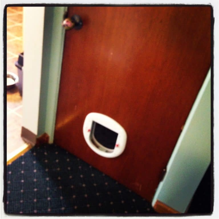 Quincy gets a cat door!