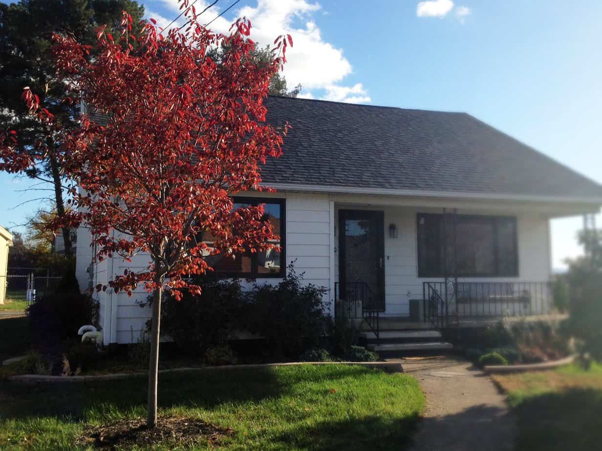 Autumn Brilliance Serviceberry, PrettyPurpleDoor.com