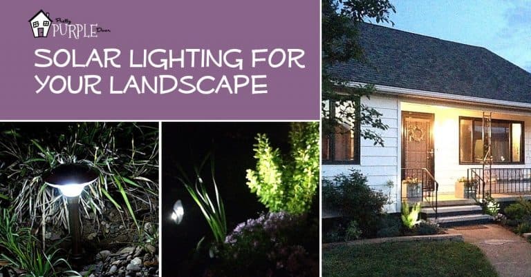 Solar Lighting Lights Up Your Landscape