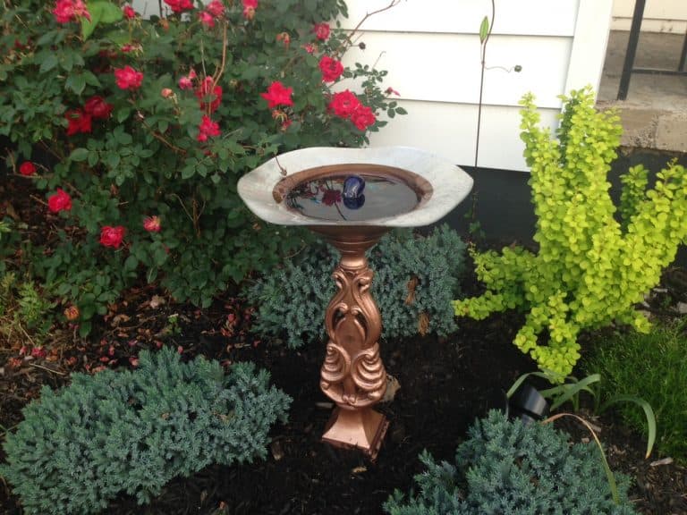 DIY Solar Birdbath Fountain for less than $50!