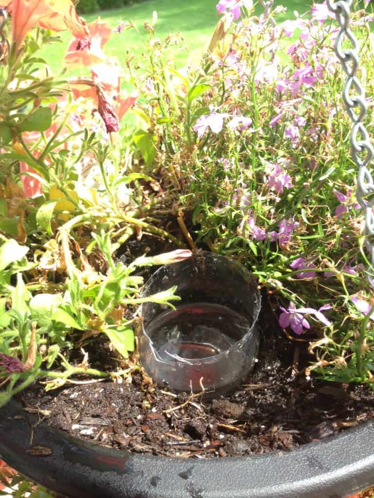 DIY Self Watering Hanging Basket: Pretty Purple Door