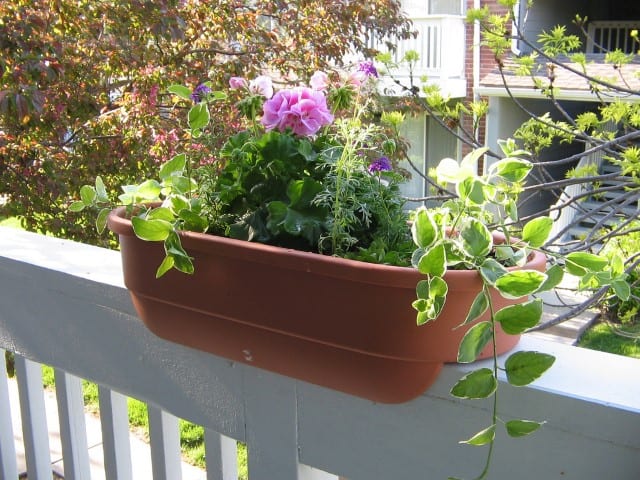 Using railing boxes is another great small garden idea if you are short on space