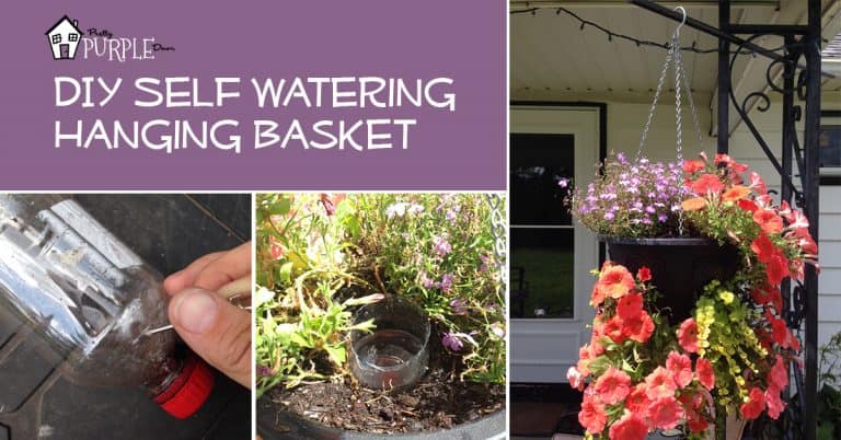 DIY Self Watering Hanging Basket