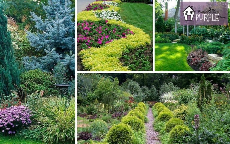 Landscape Layering: How to Create an Amazing Landscape