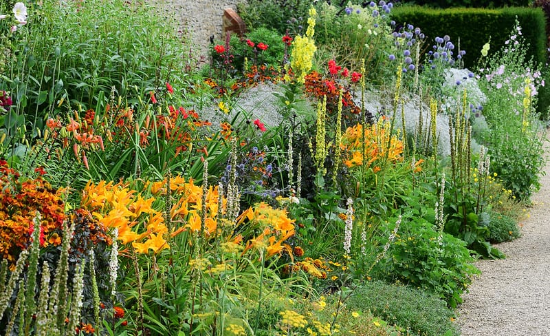 This red, orange and yellow mixed border is vibrant and full of energy, Loseley Park Garden, Surrey.
