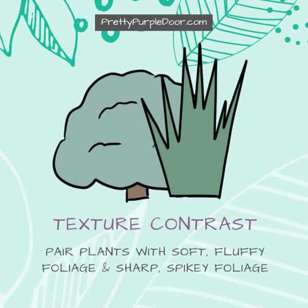 Contrast plant textures like fluffy and spikey plants