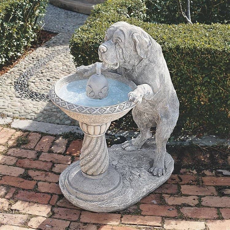 dog drinking fountain