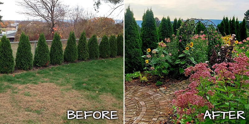 backyard before & after