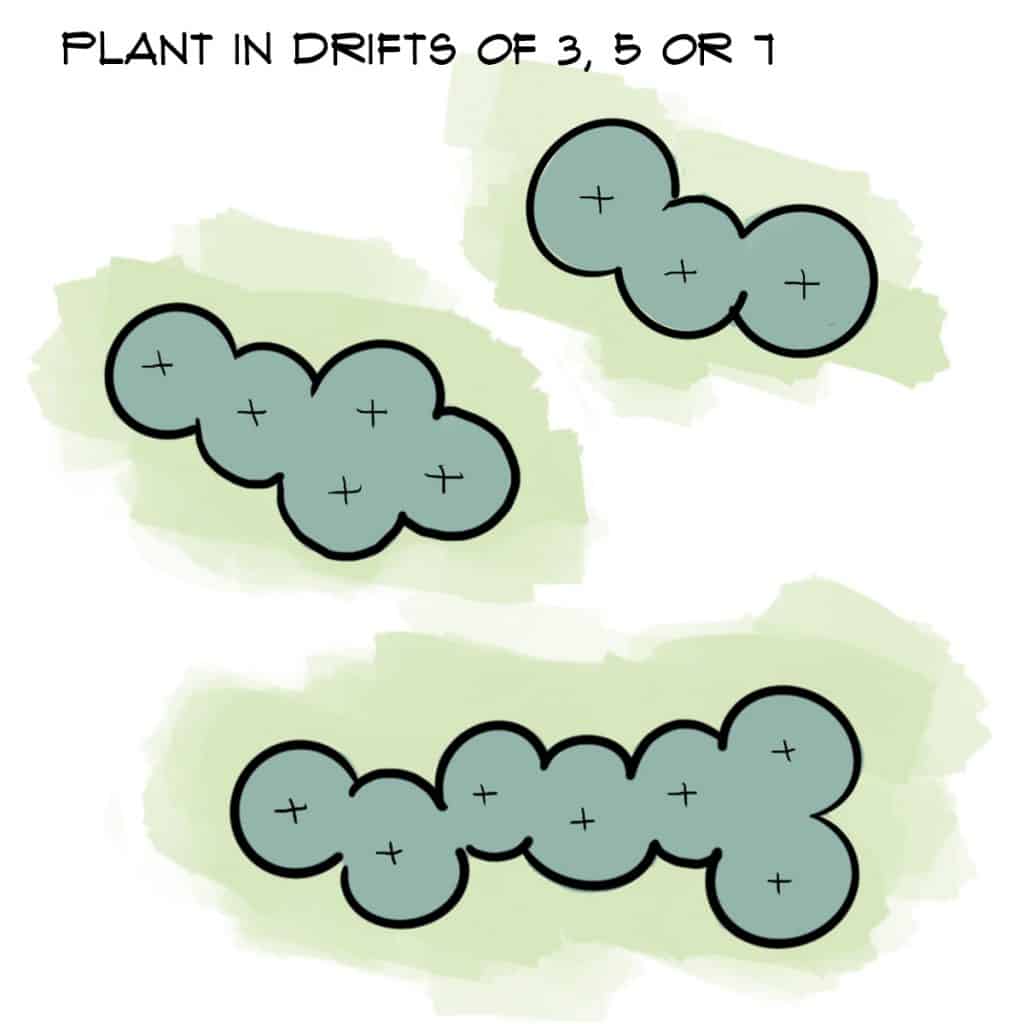 Arrange plants in drifts of 3 5 or 7