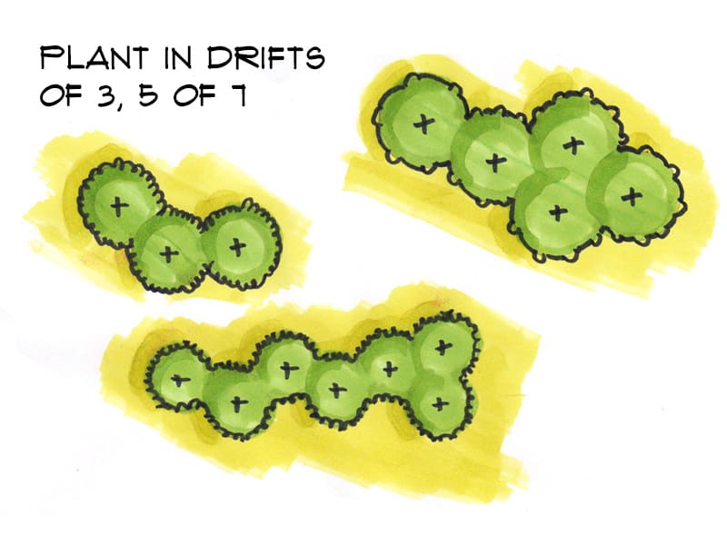 Arrange plants in drifts of 3 5 or 7