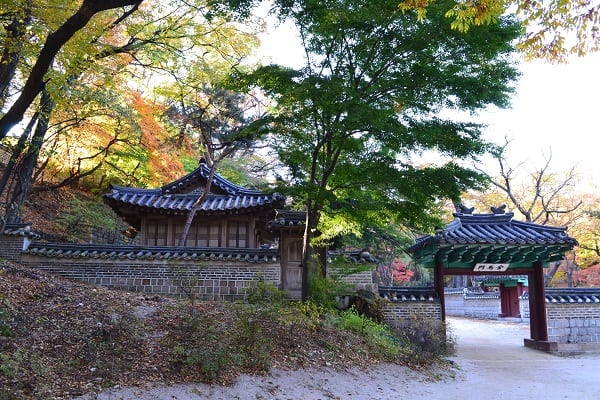 Entryway to Changdeokgung Palace in Korea with fallen leaves