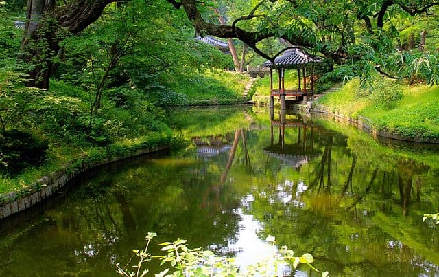 Photo of the peaceful pond and gazebo in Changdeokgung Palace, Korea. A UNESCO World Heritage Site