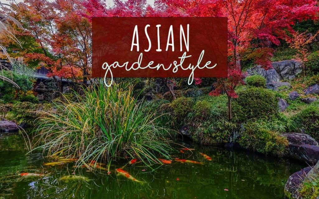 Asian garden style featured image photo with ornamental grass and koi fish pond