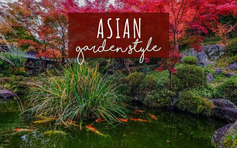 Asian Gardens: Tips for Creating a Tranquil Oasis in Your Garden Space (Complete Guide)