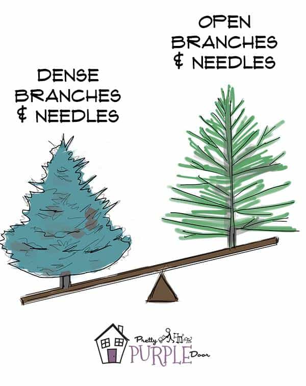 Plant density is important in determining plant mass