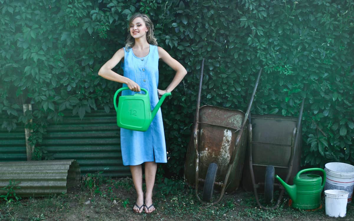 The beginner guide to flower gardening