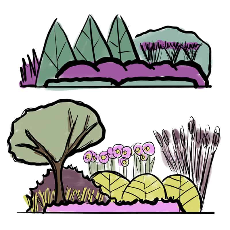 Two garden plan drawings in different color schemes