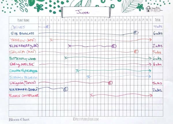 horizontal bloom chart with example plants