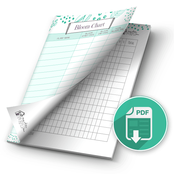 bloom chart mockup pdf download