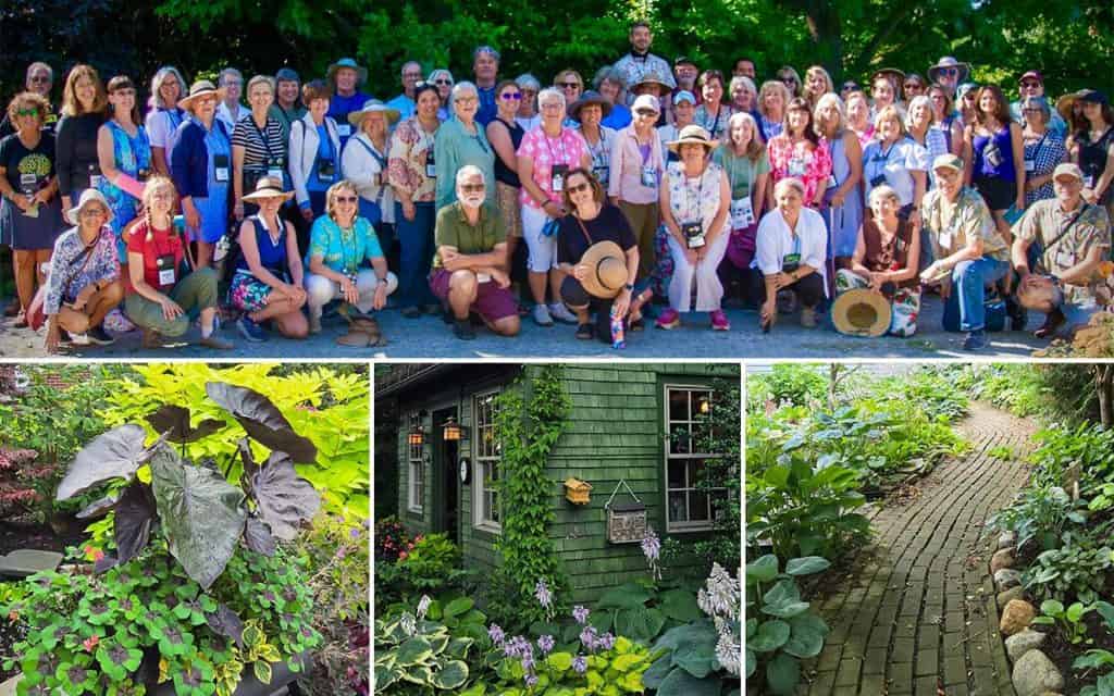 buffalo garden tour photo collage
