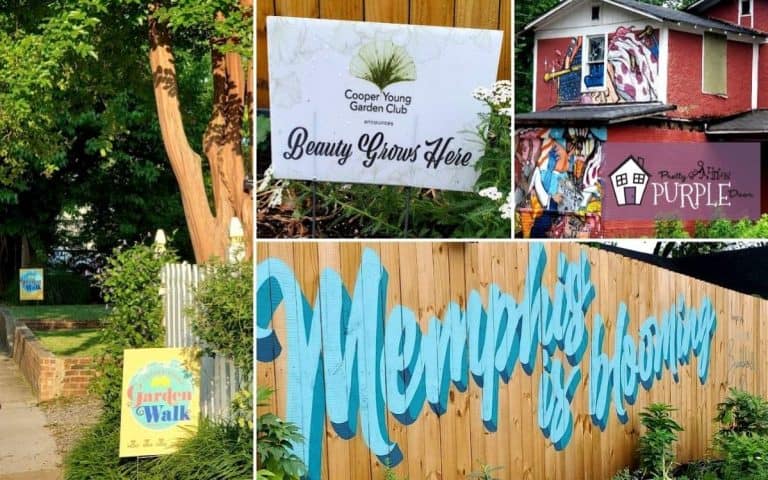 Cooper-Young Garden Walk – Lessons from Touring 80 Memphis Home Gardens