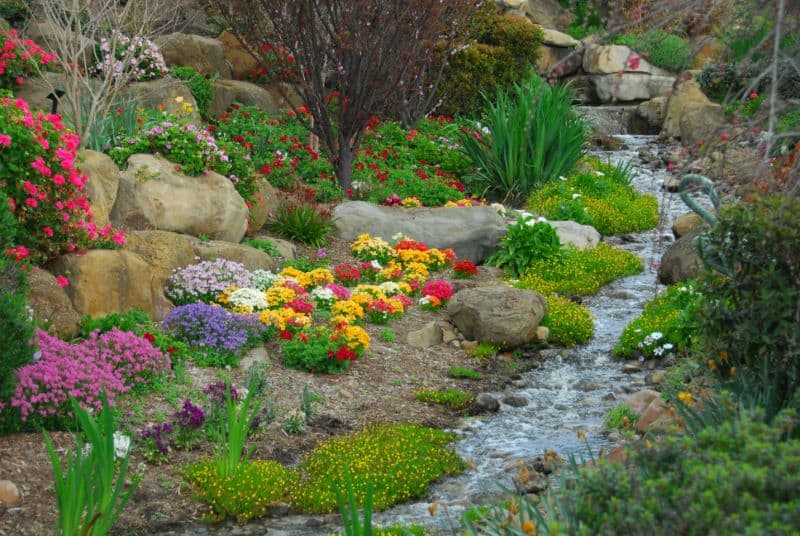 creek stream in backyard