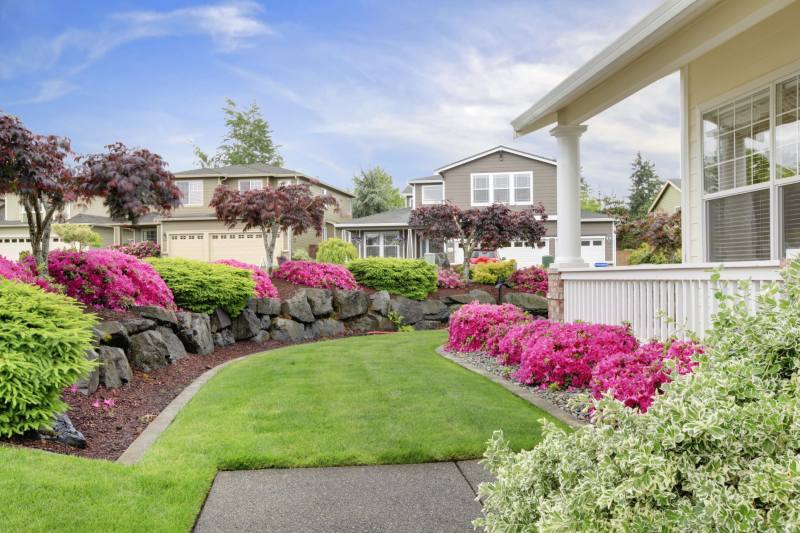 a home with beautiful curb appeal, trees and pink flowering bushes