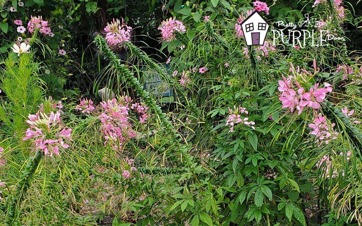 Dissatisfied In Your Backyard’s Efficiency? Here is How To Love Your Backyard Once more Dissatisfied In Your Backyard’s Efficiency? Here is How To Love Your Backyard Once more