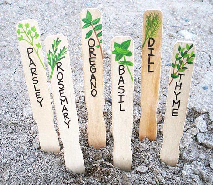 DIY Popsicle Stick Plant Markers
