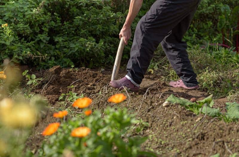 Edge the flower bed