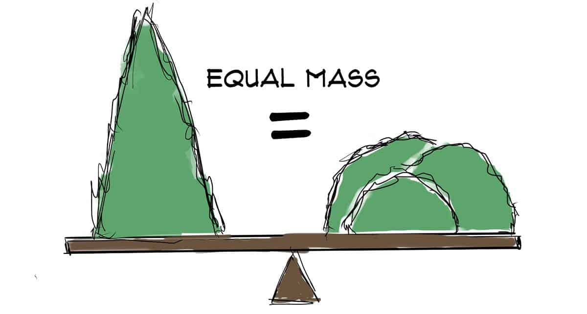 drawing of a tall conical tree that equals the mass of 3 smaller shrubs
