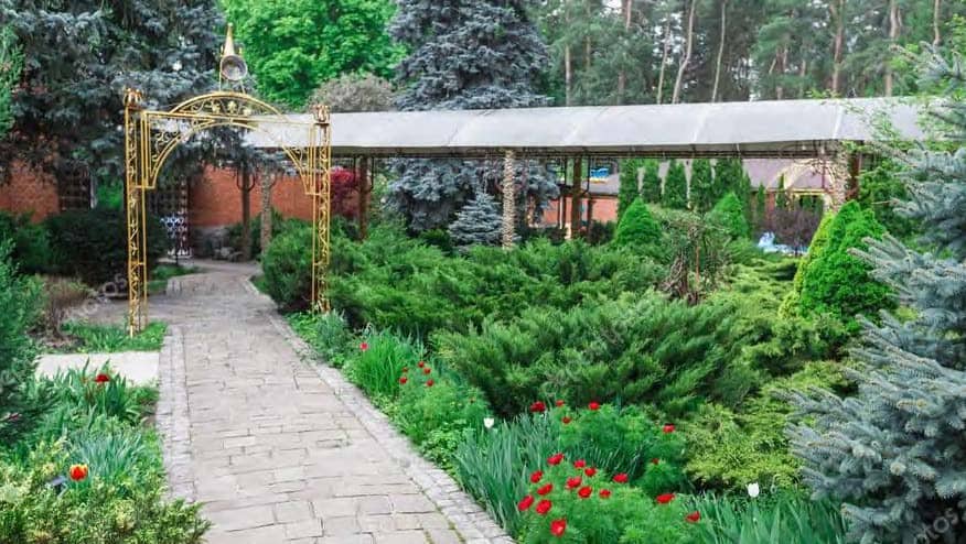 The way use evergreens to create structure is to combine them with other plants in your mixed border.