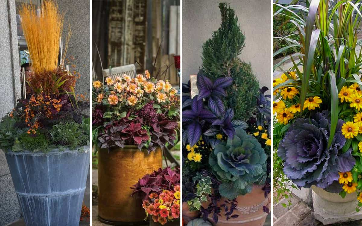 four fall container arrangements separated into blocks