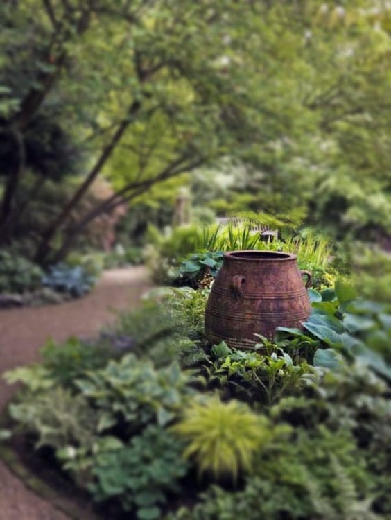 Shady green woodland garden with red rusted barrel as a  focal point 