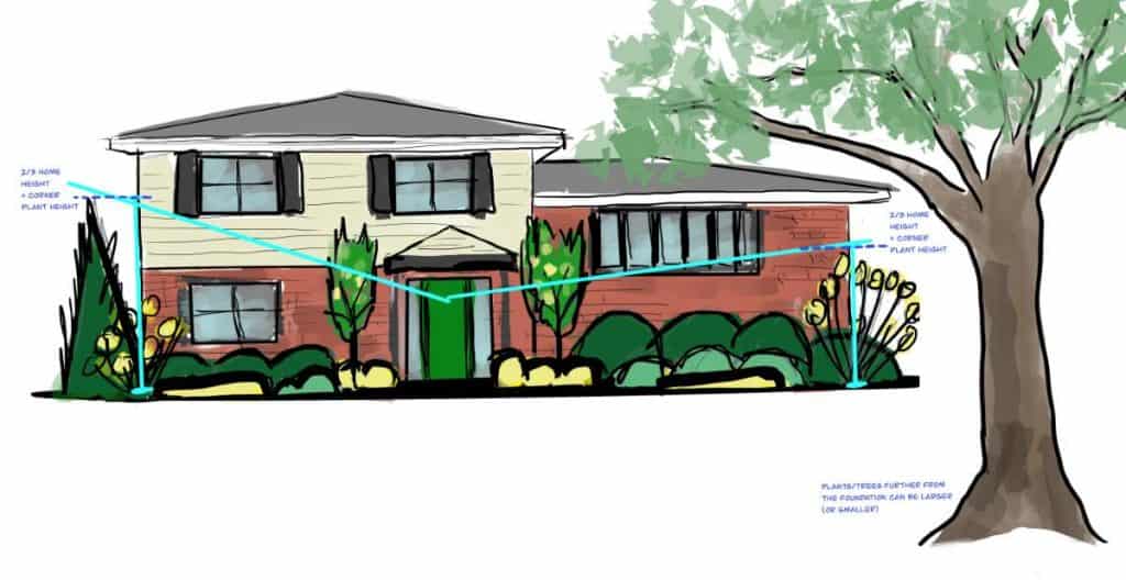 drawing of foundation plants on the corners of the home