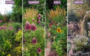 garden in spring summer fall and winter