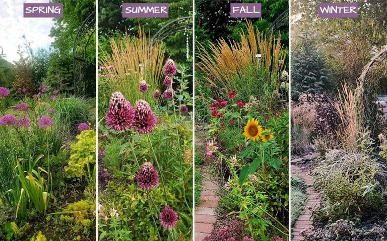 Design a Four-Season Landscape: An Expert Guide to Year-Round Garden Beauty