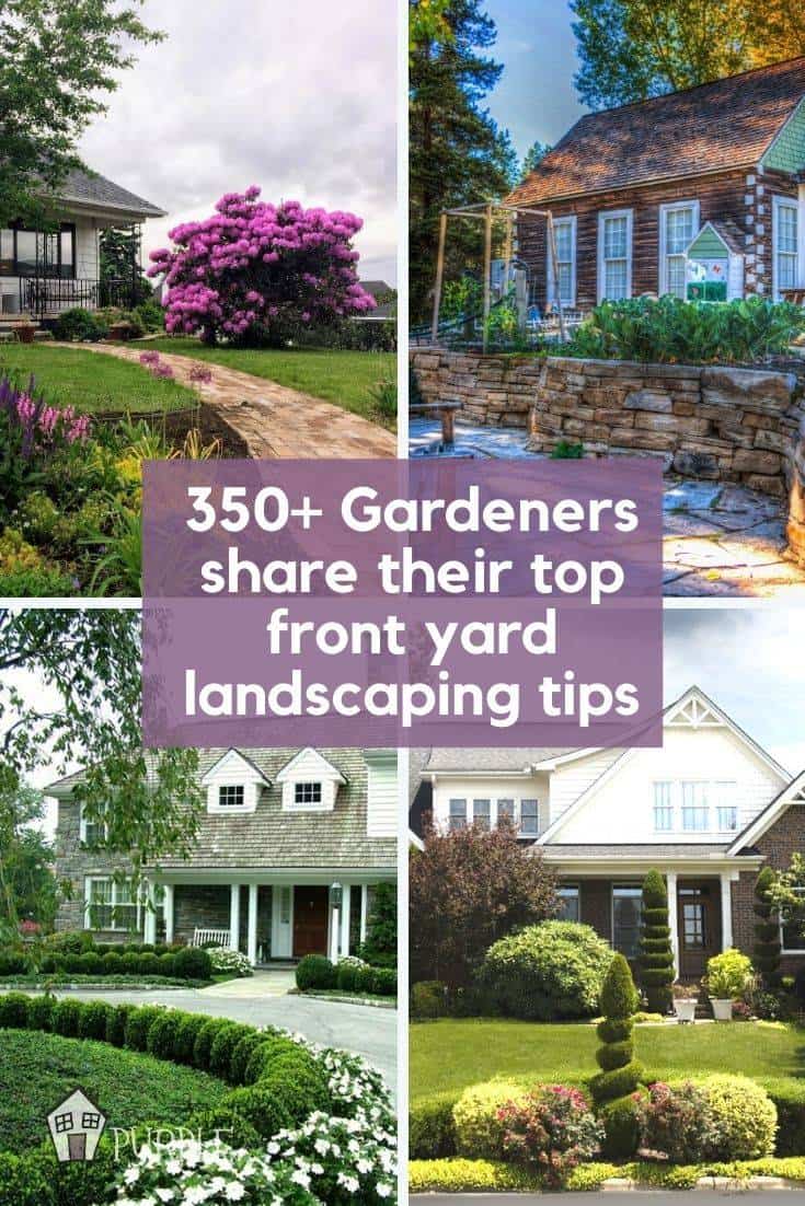 350+ gardeners share their top front yard landscaping tips