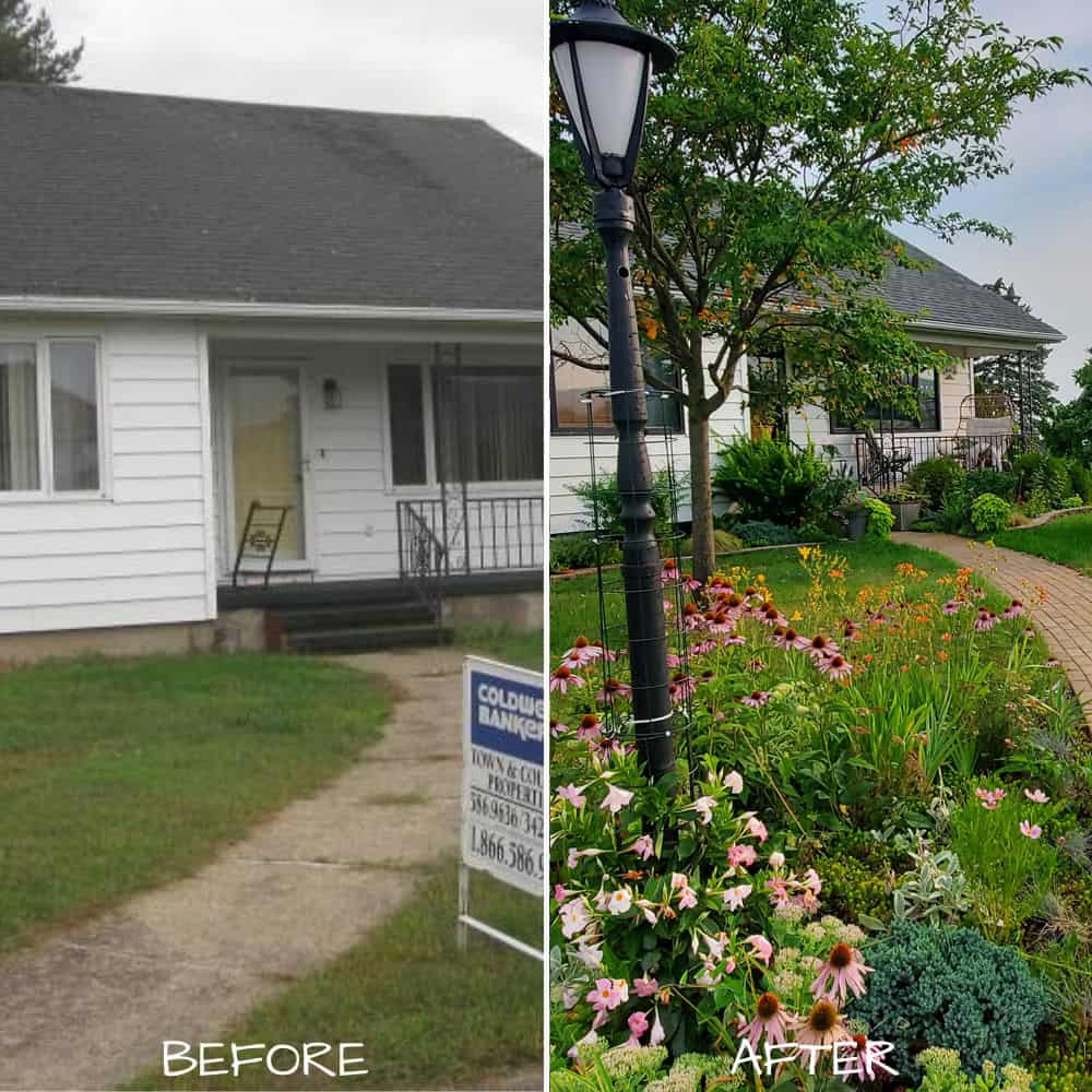 Front yard before & after