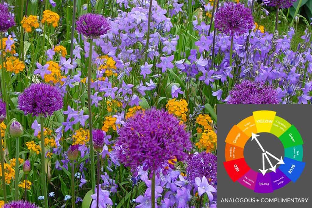 Complex Garden Color Scheme with blue, violet, purple and amber