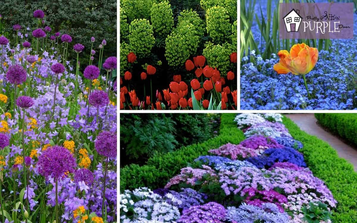 Garden Color Schemes: The best color combos for your garden