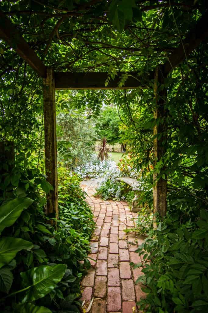 Curving brick walkway through a garden with a vine covered arbor overhead