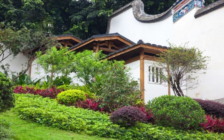 Gardening on a Slope: Tips and Ideas for Creating a Beautiful Hillside Garden