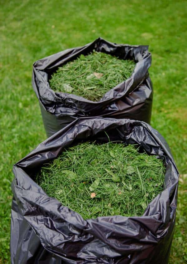 When to mulch or bag lawn clippings