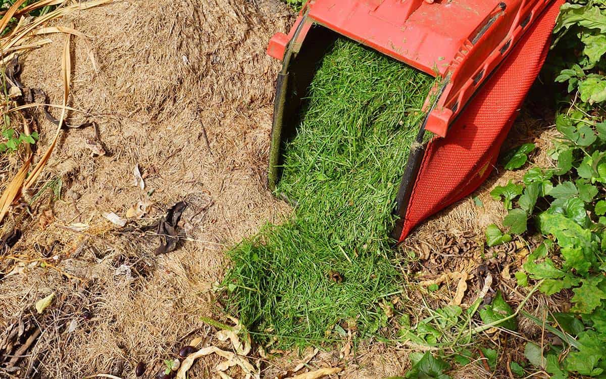 Dumping mulch from a lawn mower onto bare dirt