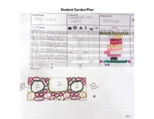 Student garden plan and drawing