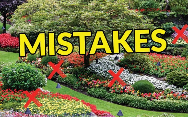 71 Shockingly Common Landscape Design Mistakes (& How to Fix)
