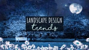 moon garden backdrop for landscape design trends article featured image