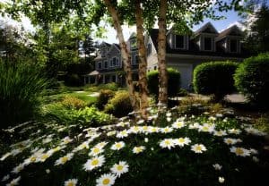 beautiful landscaping on a budget