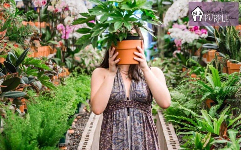Get beautiful landscaping on a budget with these tips